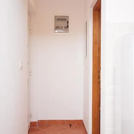 3209d Tisno